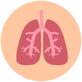 Lungs icon