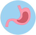 Stomach icon